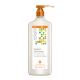 ANDALOU NATURALS Moisture Rich Argan Oil & Shea Sham 946 ml