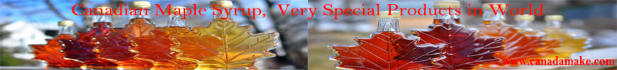 Canada Maple Syrup